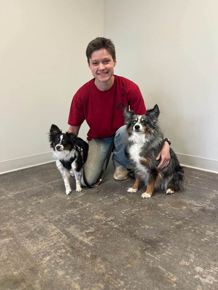 A person kneels indoors, smiling at the camera, with one small black-and-white dog on the left and one larger black-gray dog on the right.