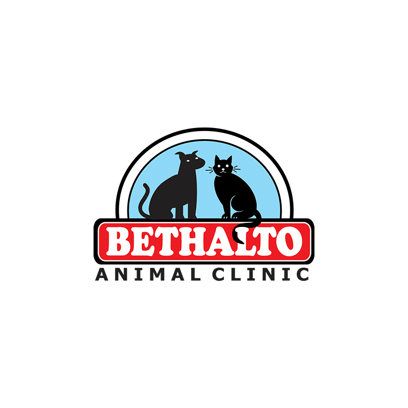 Logo for Bethalto Animal Clinic featuring silhouettes of a dog and a cat inside a blue arch above the clinic name in bold red and black text.