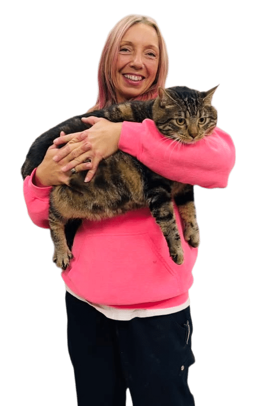 A person wearing a bright pink hoodie holds a large tabby cat in their arms, both facing forward against a white background.